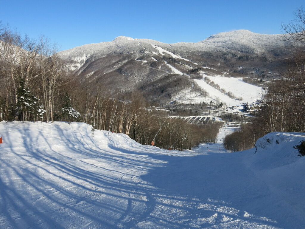 The old T-Bar line at Stowe, January 2019