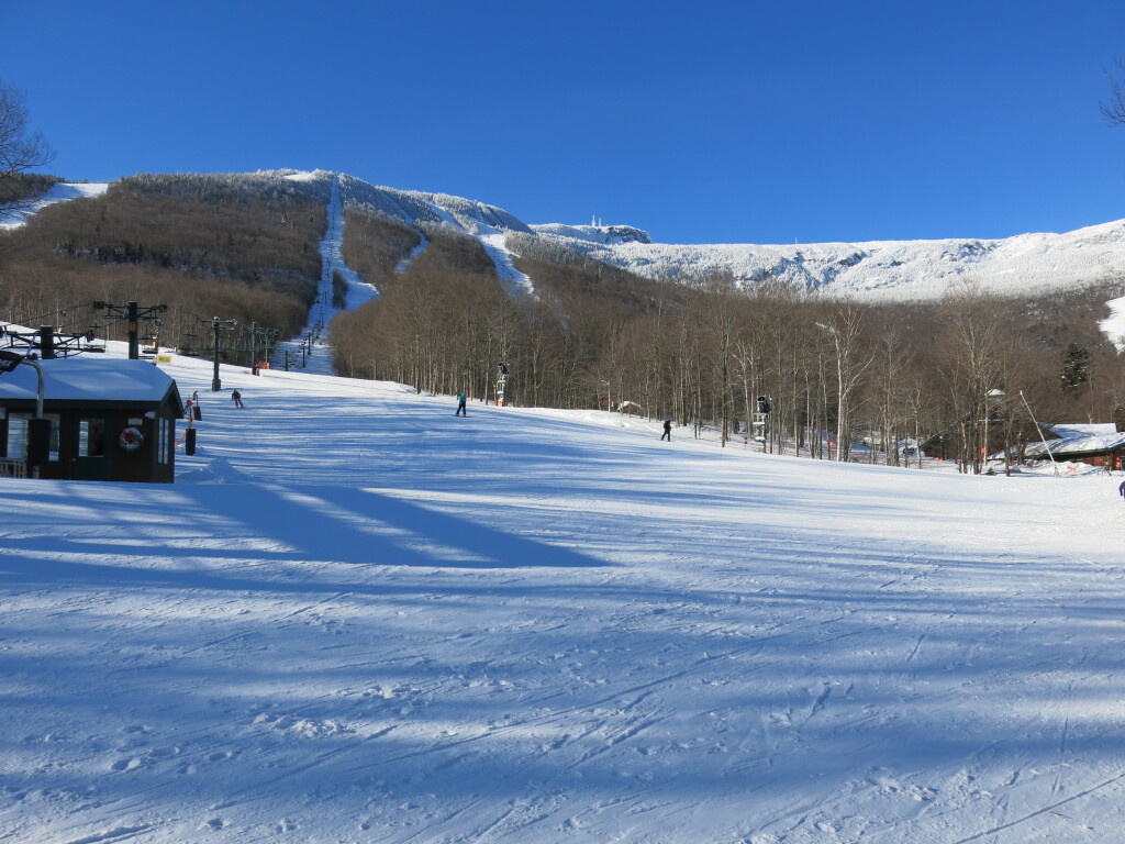 The non-running Lookout Double at Stowe, January 2019