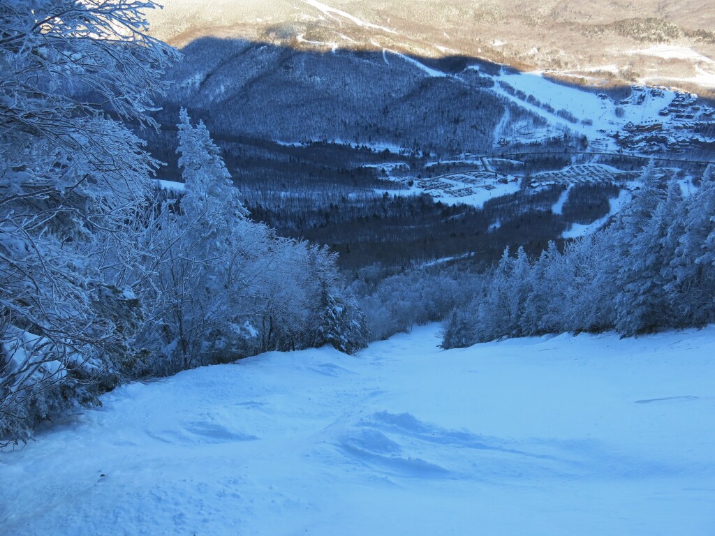 Upper Starr at Stowe, January 2019