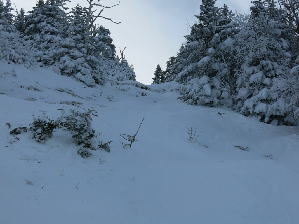 Ski it if you can! Paradise at Mad River Glen, January 2019
