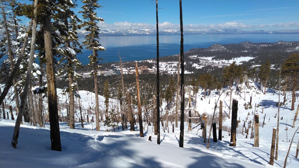 Late March powder run on Firebreak at Heavenly, March 2019