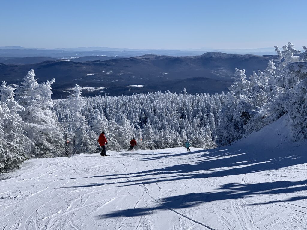 Jester at Sugarbush, January 2019