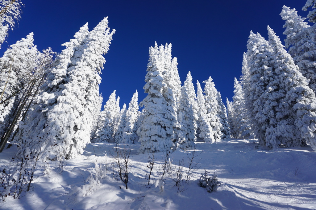 Closets at Steamboat, December 2019