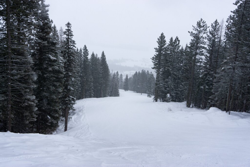 "Bliss" at Tamarack, February 2020