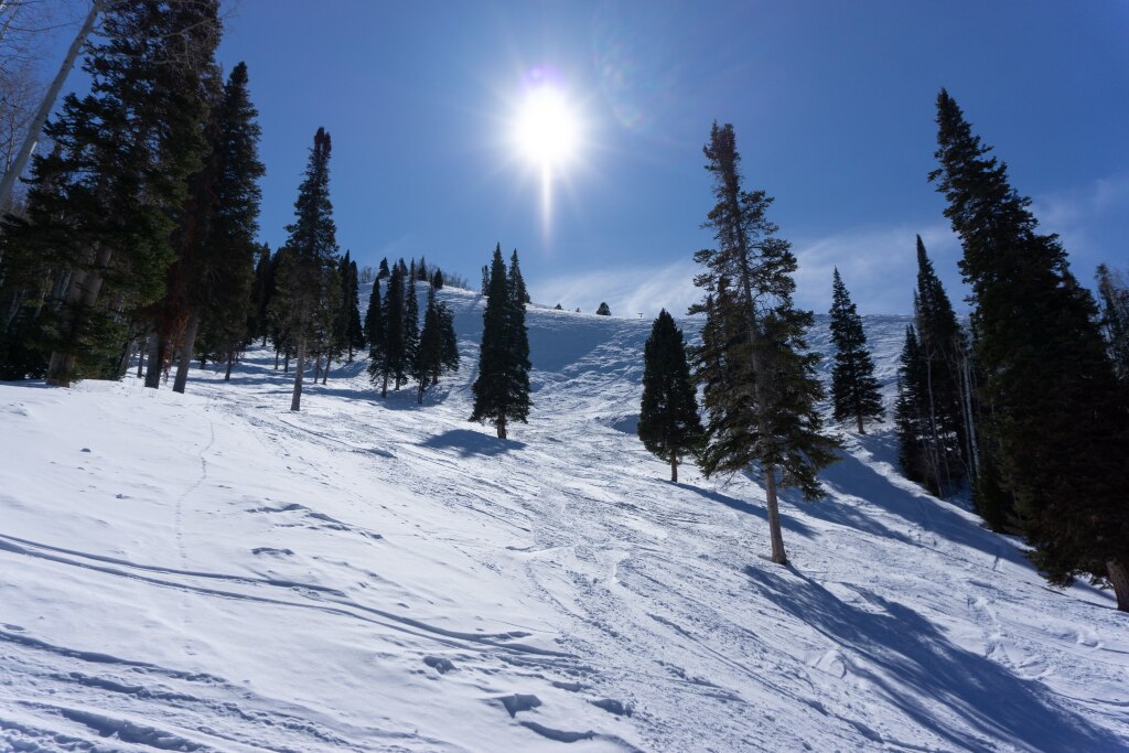 Sundown Glades at Sunlight, February 2020