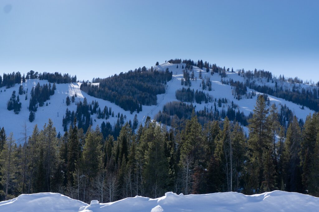 Late afternoon at Beaver Mountain, February 2020