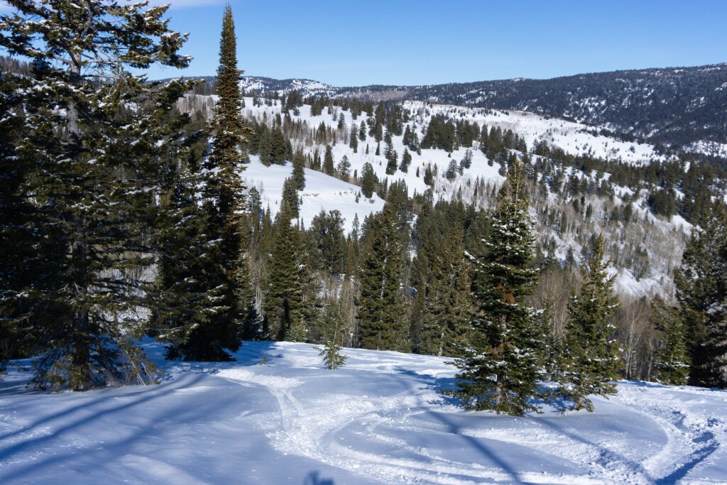 Powder north of Ted's Rock at Beaver Mountain, February 2020