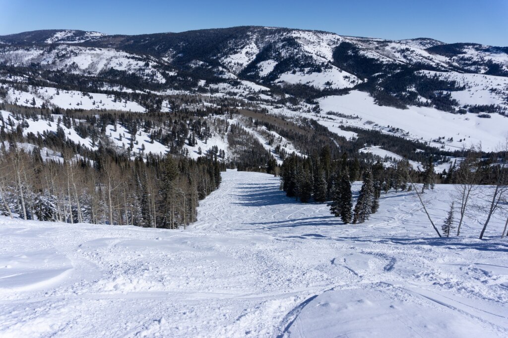 Harry's Dream terrain at Beaver Mountain, February 2020