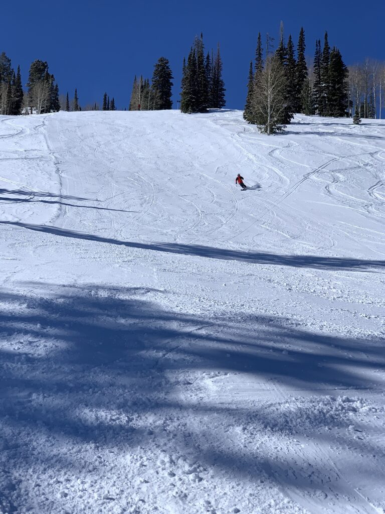 Powder between the groomed runs at Beaver Mountain, February 2020