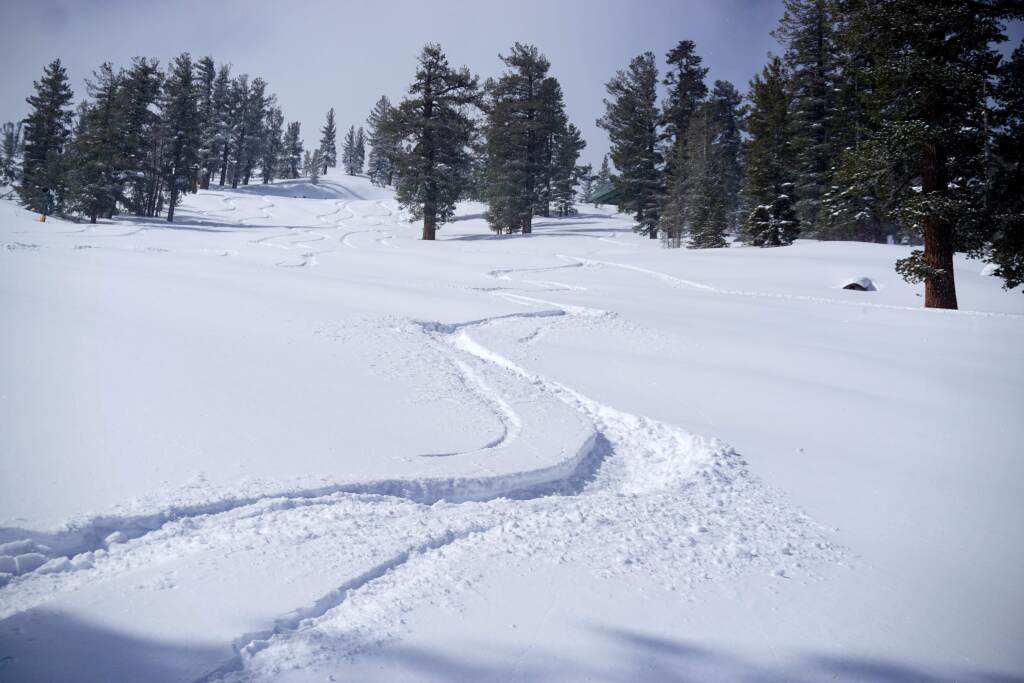 Heavenly Stagecoach run, March 2020