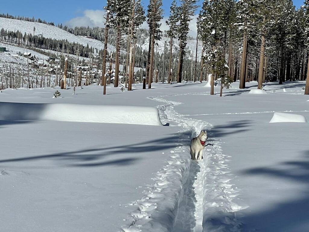 Trench touring after the one big storm, January 2021