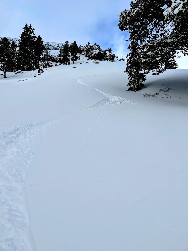 Untracked powder at Kirkwood, March 2021