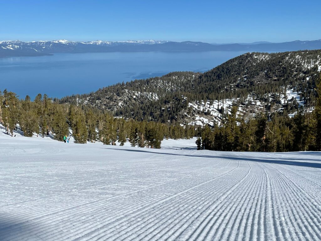 Beautiful groomer at Heavenly, April 2021