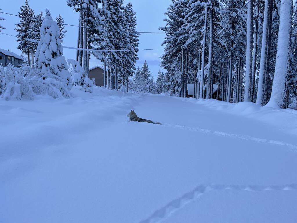 Challenging driving in South Lake Tahoe - December 2021