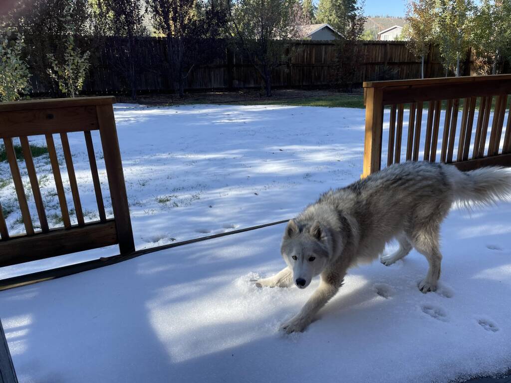 First Snow - October 16th 2021