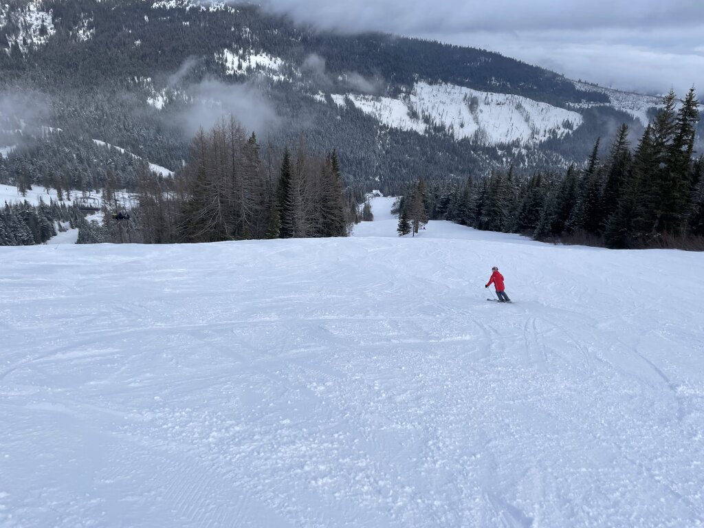 "Cathedral Aisle" off the Stella chair at Schweitzer, January 2022