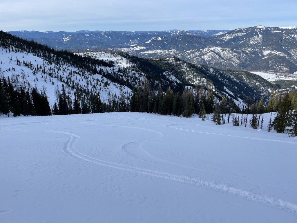 "The Meadows" off Wardner Peak, January 2022