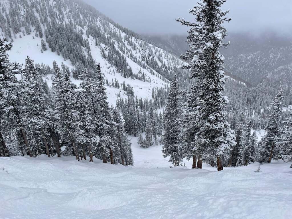 Pollux at Taos, February 2022