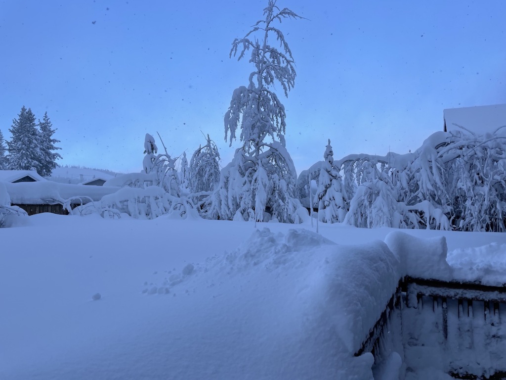Aftermath of a huge Tahoe storm in our backyard, December 11, 2022