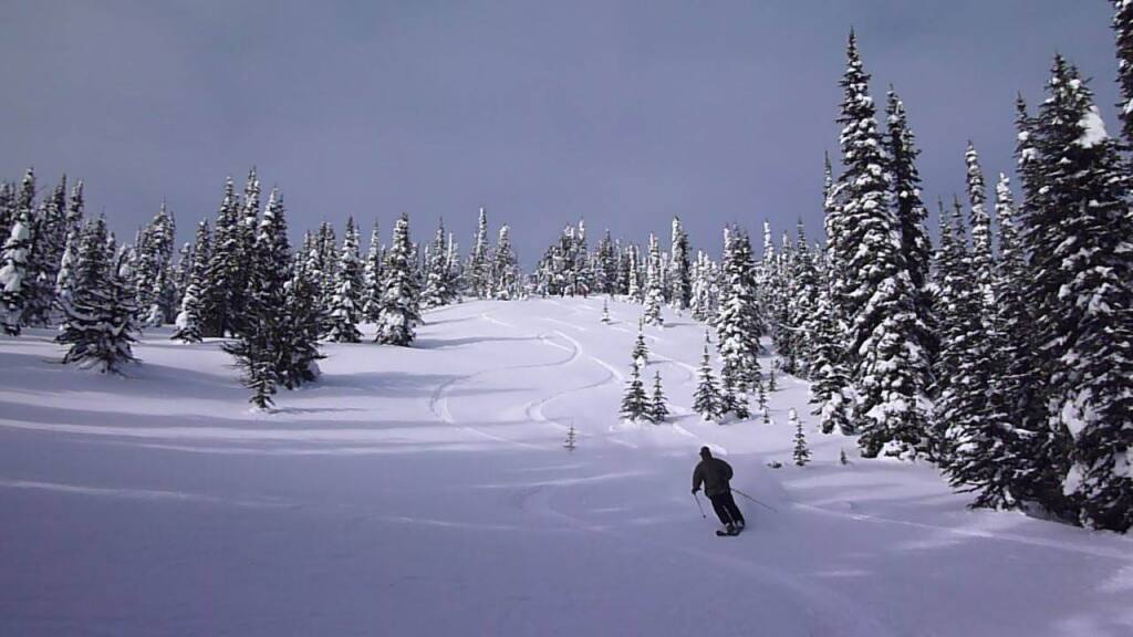 Big Red Cats, January 2011