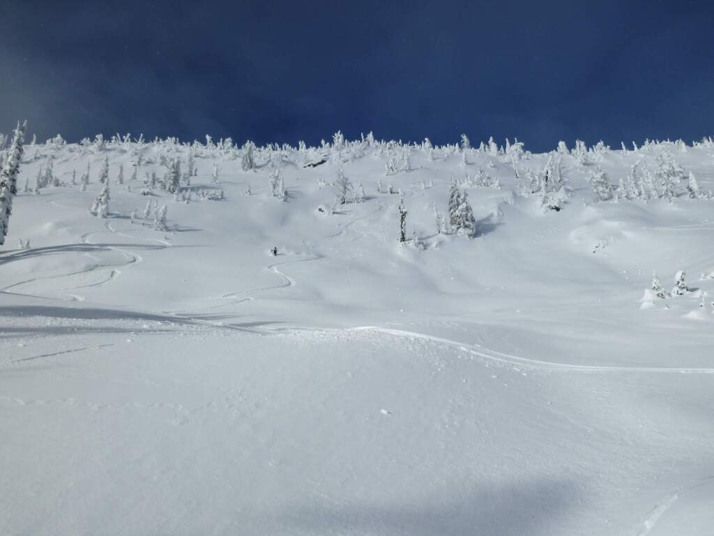 Big Red Cats terrain, January 2011