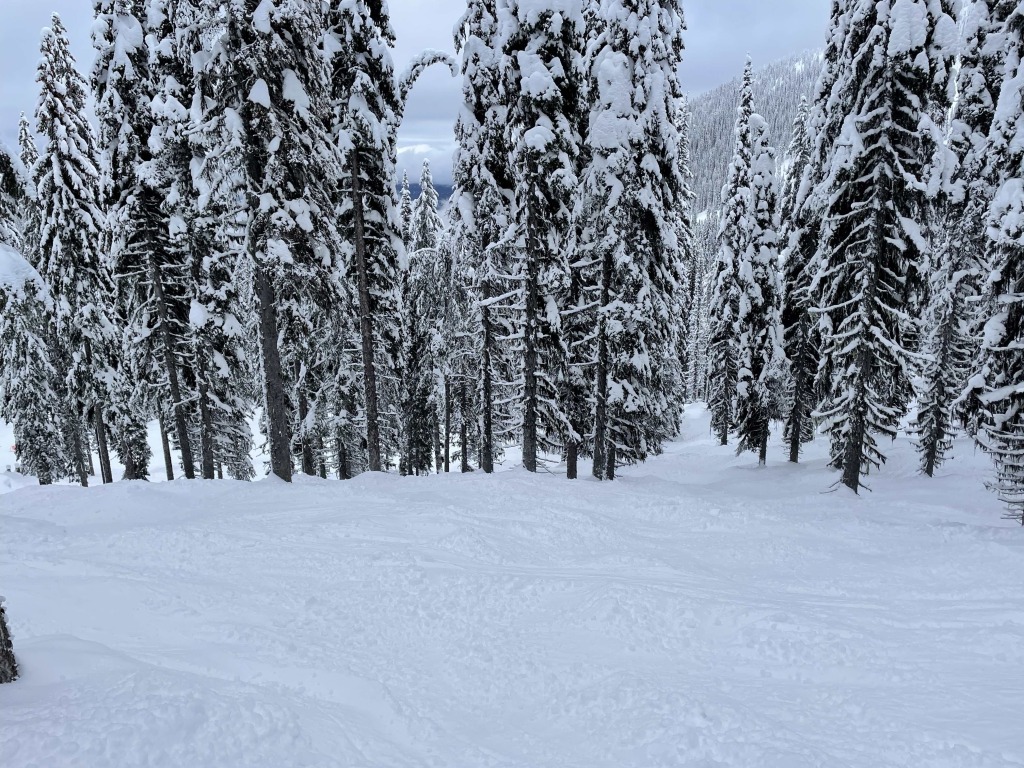 Granite Peak glades at Red Mountain, January 2023