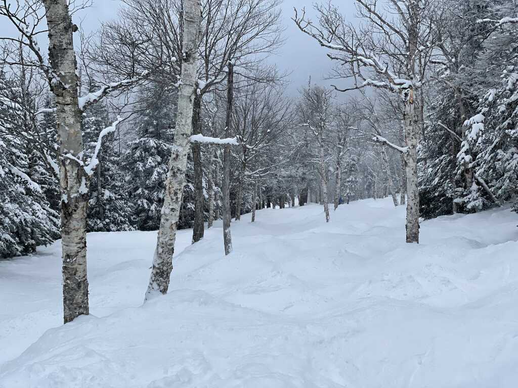 Doc Dempsey's Glades at Smugglers' Notch, March 2023