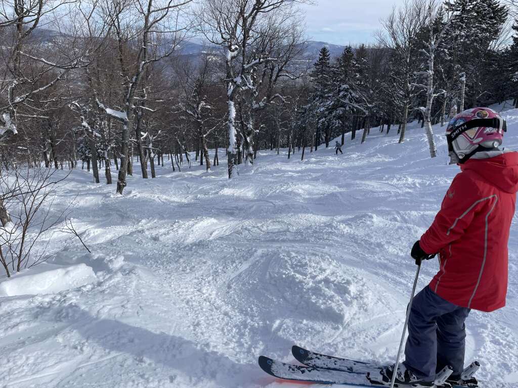 Jordan Bowl's "Blind Ambition" gladed area at Sunday River, March 2023