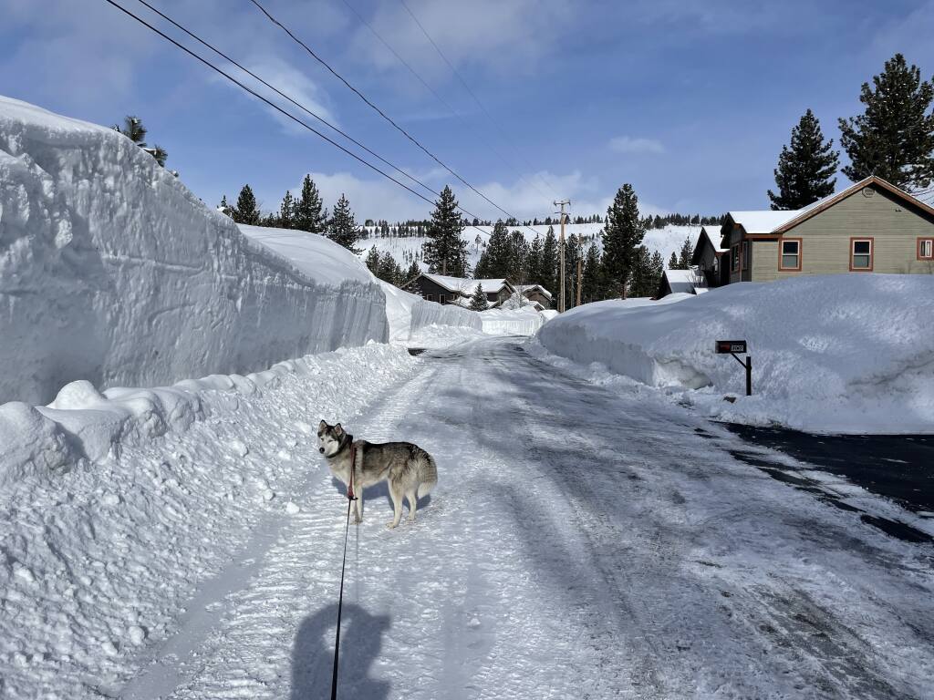 Big snow banks in our neighborhood, March 2023