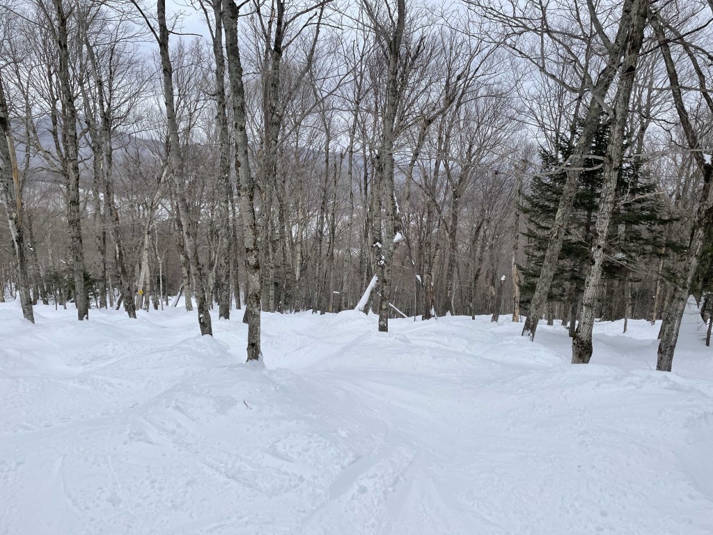 Timbuktu glades at Jay Peak, March 2023