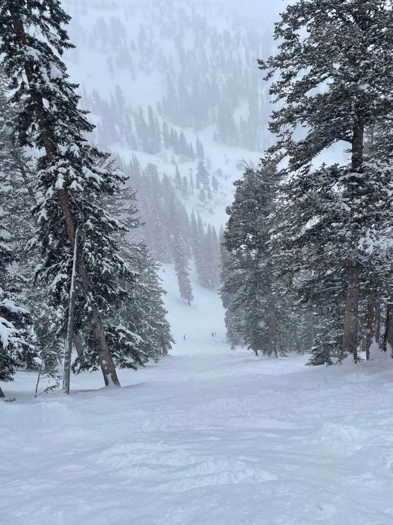 Lower Evergreen chutes at Solitude, February 2024