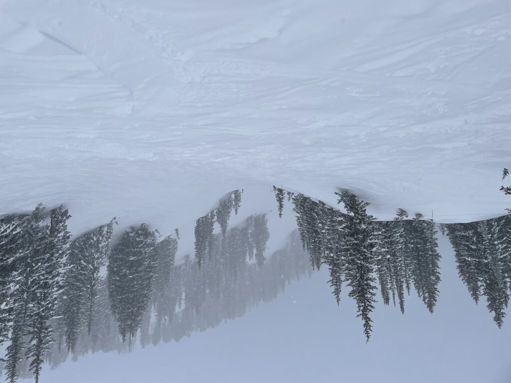 The Woodlawn trail in <yoastmark class=