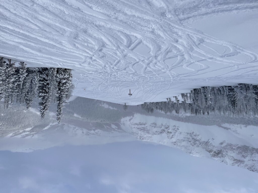 Powder on Goats Eye Mountain at Banff Sunshine Village, March 2024