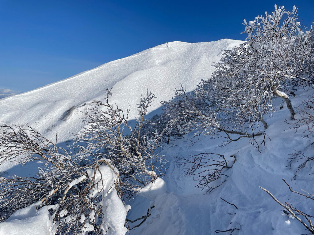 The west face of Mt. Annupuri Niseko, February 2025