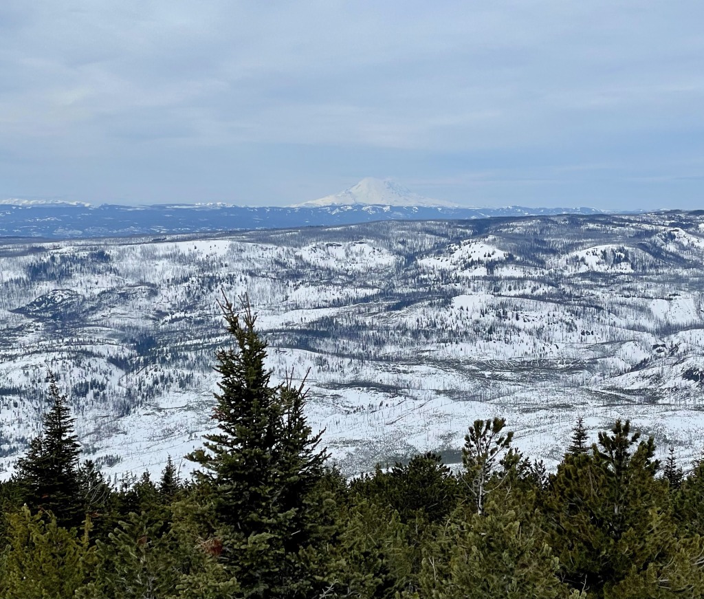 View of Mt. Rainier from the top of Mission Ridge, March 2025