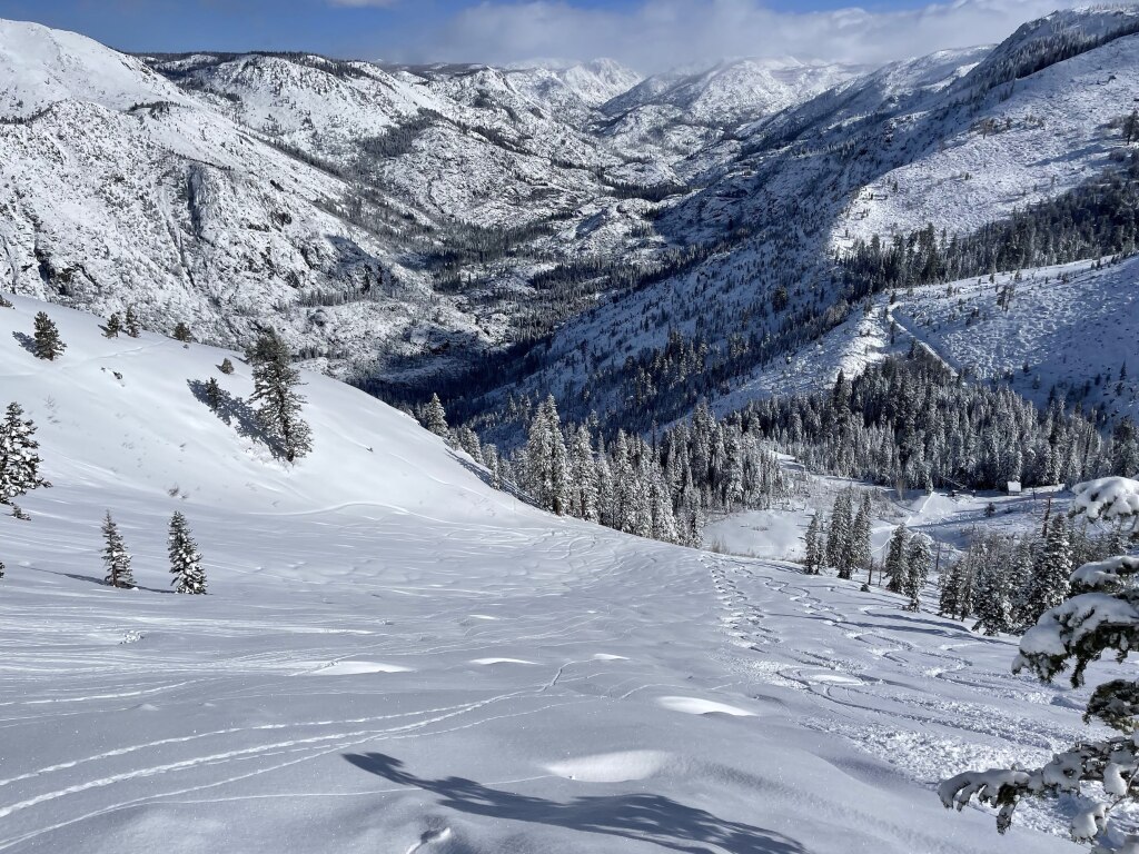 Strawberry Fields at Bear Valley, April 2025