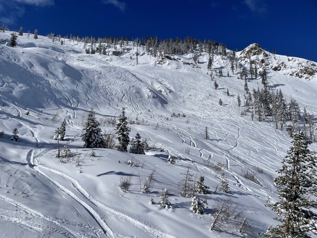 Powder day on the Grizzly Chair at Bear Valley, April 2025