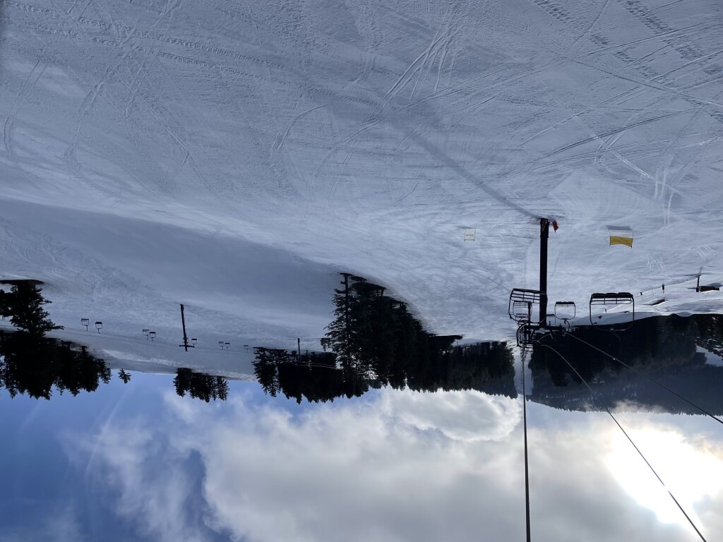 View of the lower third of the mountain from the Skyline chair at Pebble Creek - March 2025