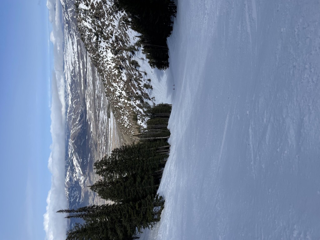 Stacy's run at Pebble Creek - March 2025