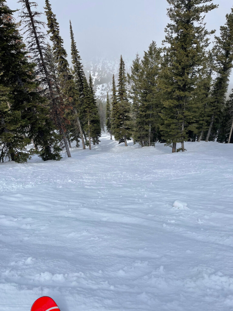 Rattlesnake run at Pebble Creek from the North Traverse at Pebble Creek - March 2025