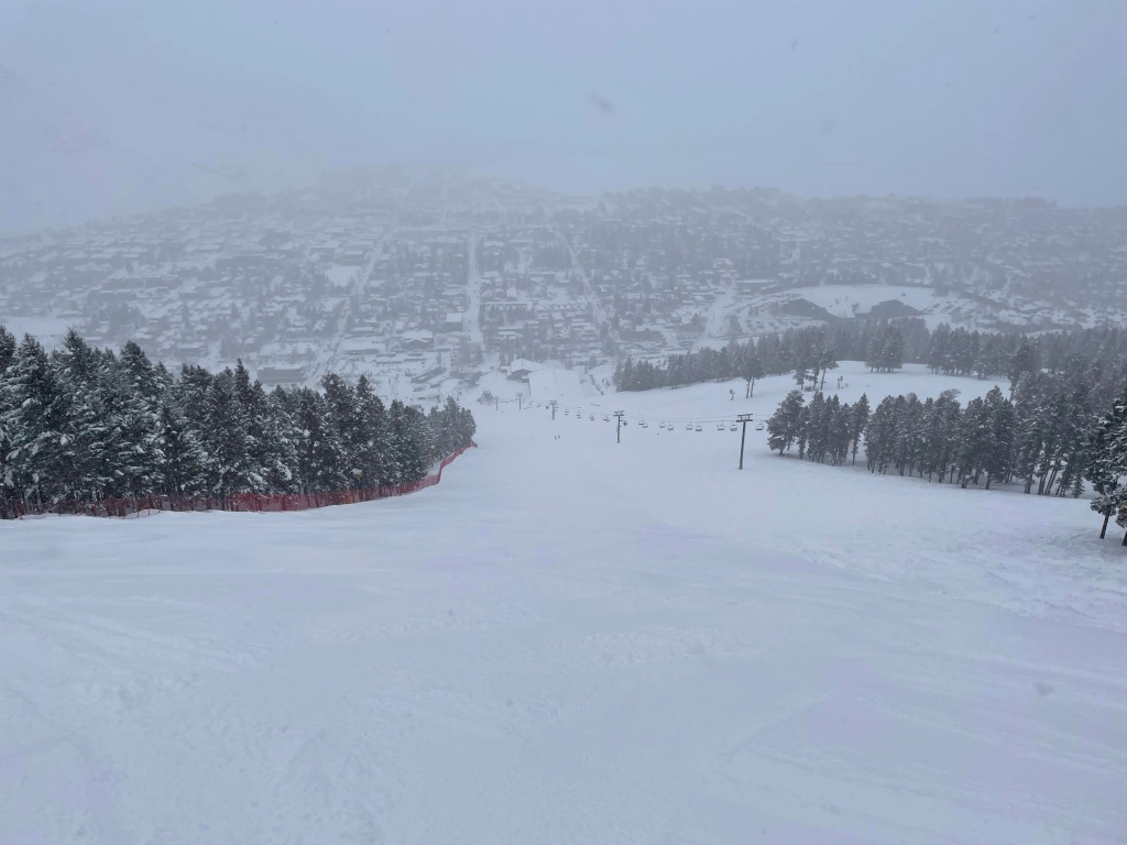 Wolverine to Cougar at Snow King, March 2025