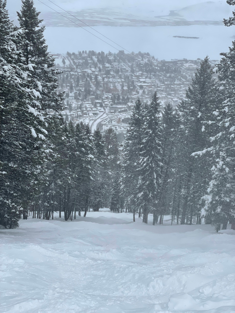 Bison run at Snow King, March 2025