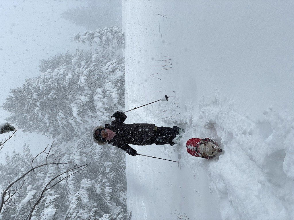 XC skiing, snowshoeing, hiking, and biking are all activities we do right from the house but storm-day outings are the most fun