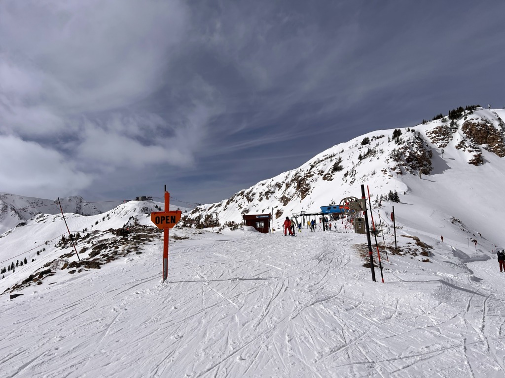 Alta-Bird connection, March 2026