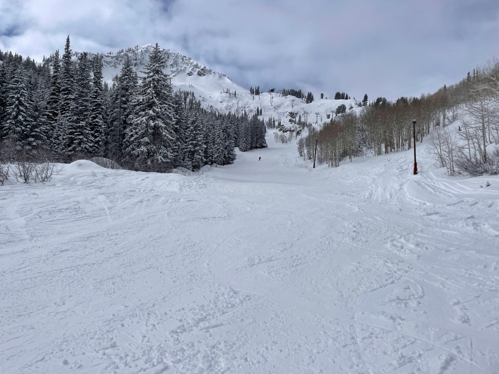 The Canyon trail in the Milly Express zone at Brighton, March 2026