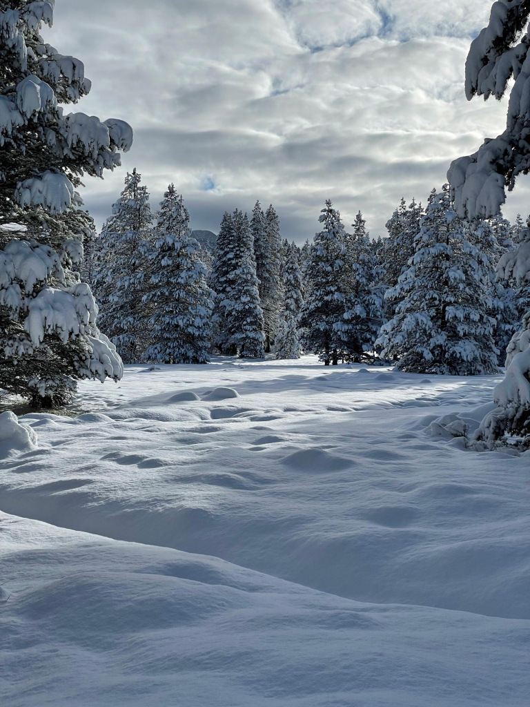 A snowy scene near our house in South Lake Tahoe, April 2026