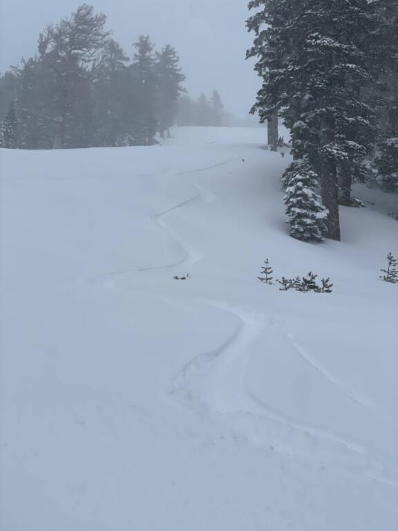 Untracked powder at Heavenly, January 2026
