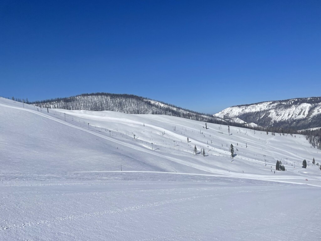 West Bowl at Sierra at Tahoe post - fire: A clean slate to work with, April 2023