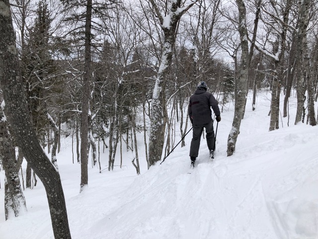Lots of traversing through the forest at Mt. Bohemia - 2019